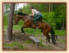 Skákat se dá přes cokoliv :-)