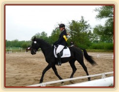 Carthago, drezura Z2, 1. místo, Dobřany květen 2012