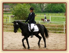 Carthago, drezura Z2, 1. místo, Dobřany květen 2012