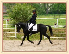 Carthago, drezura Z2, 1. místo, Dobřany květen 2012