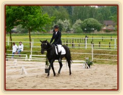 Carthago, drezura Z2, 1. místo, Dobřany květen 2012