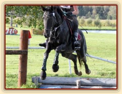 Arwen, všestrannost ZL Humpolec, září 2012