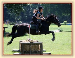 Carthago, všestrannost ZL Loštice (KMK pětiletí), červen 2012, vybojoval 5. místo
