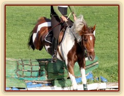 Vikina, všestrannost L Humpolec, září 2012