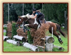 Vikina, všestrannost L Humpolec (Stříbrná podkova), červenec 2012
