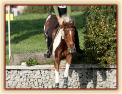 Vikina, všestrannost L Humpolec, září 2012