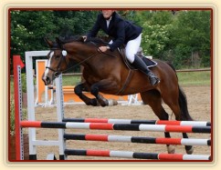 Highland Z, všestrannost ZK Brno, červen 2012, vybojovala 4. místo