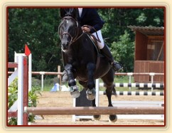 Carthago, všestrannost ZL Brno (KMK pětiletí), červen 2012