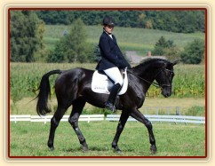 Carthago, všestrannost L Humpolec (finále KMK pětiletí), srpen 2012