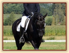 Carthago, všestrannost L Humpolec (finále KMK pětiletí), srpen 2012