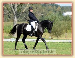 Carthago, všestrannost L Humpolec (finále KMK pětiletí), srpen 2012