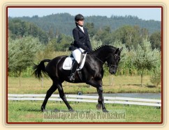 Carthago, všestrannost L Humpolec (finále KMK pětiletí), srpen 2012