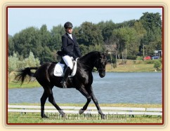 Carthago, všestrannost L Humpolec (finále KMK pětiletí), srpen 2012