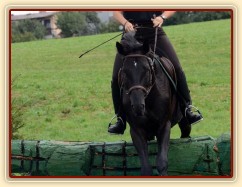 Carthago, všestrannost L Humpolec (finále KMK pětiletí), srpen 2012