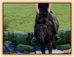 Carthago, všestrannost L Humpolec (finále KMK pětiletí), srpen 2012