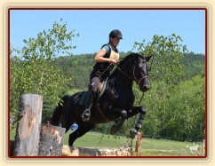 Carthago, všestrannost ZL Borová, květen 2012