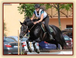 Carthago, všestrannost ZL Brno (KMK pětiletí), červen 2012