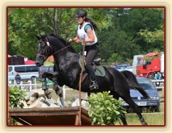 Carthago, všestrannost ZL Brno (KMK pětiletí), červen 2012