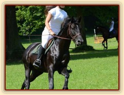 Carthago, všestrannost ZL Loštice (KMK pětiletí), červen 2012, vybojoval 5. místo