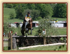 Vikina, všestrannost L Borová (Stříbrná podkova), květen 2012