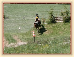 Vikina, všestrannost L Borová (Stříbrná podkova), květen 2012