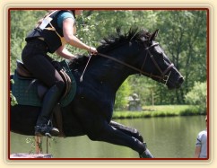 Carthago, všestrannost ZL Borová, květen 2012