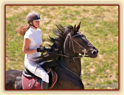 Arwen, parkur ZL Domažlice, soustředění před skokem