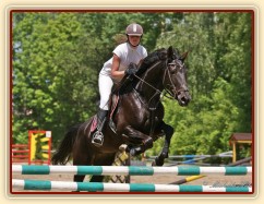 Arwen, parkur ZL Domažlice