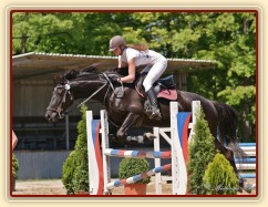 Arwen, parkur ZL Domažlice