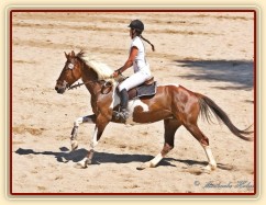 Vikina, parkur ZL Domažlice