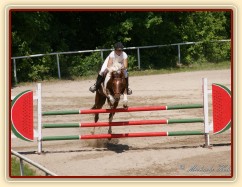 Vikina, parkur ZL Domažlice