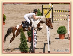 Vikina, parkur ZL Domažlice