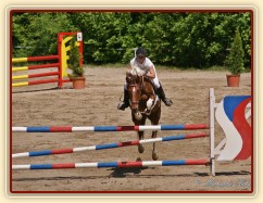 Vikina, parkur ZL Domažlice