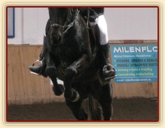 Arwen, parkur Z Krutěnice