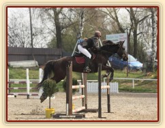 Arwen, parkur ZL Klatovy, duben 2012