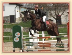 Arwen, parkur ZL Klatovy, duben 2012