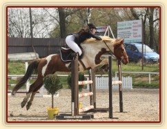 Vikina, parkur ZL Klatovy, duben 2012