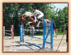 Vikina, opracování před závodem, Domažlice