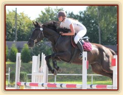 Arwen, parkur ZL Klatovy, srpen 2012