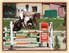 Vikina, parkur ZL Klatovy, 3. místo z 80 koní, srpen 2012