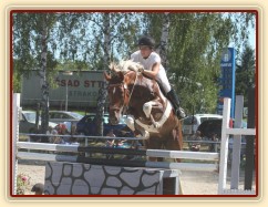 Vikina, parkur ZL Klatovy, 3. místo z 80 koní, srpen 2012