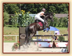 Arwen, parkur ZL Klatovy, srpen 2012