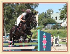 Arwen, parkur ZL Klatovy, srpen 2012