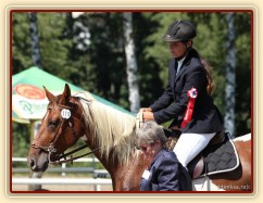 Vikina, dekorování parkuru ZL Klatovy, 3. místo z 80 koní, srpen 2012