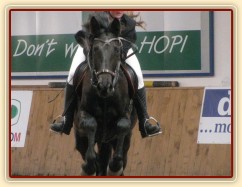 Arwen, parkur Z Krutěnice