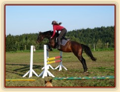 Skákání pod sedlem, čtyřletá klisna Lily