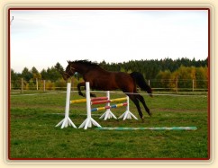 Skákání ve volnosti, dvouletá klidna Ascara