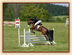 Závody na Dražce, parkur Z