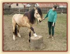 Parellistění ve volnosti, "lezení na špalek"