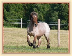 Fiona v září 2012 ve věku 1,5 roku, roste jako z vody:-)